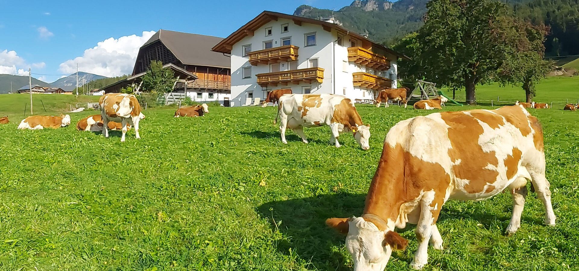 familienurlaub bauernhof kastelruth