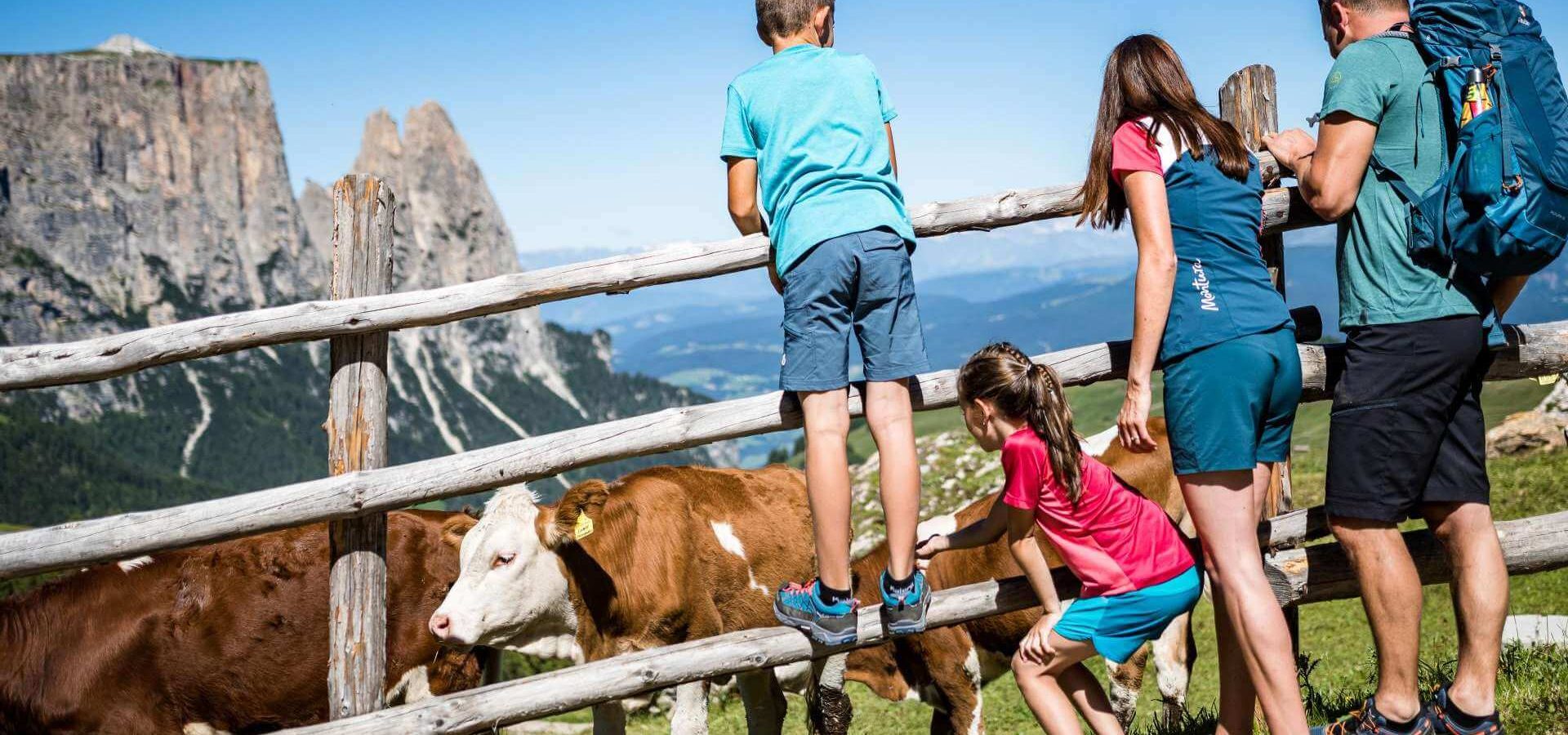 familienurlaub bauernhof kastelruth
