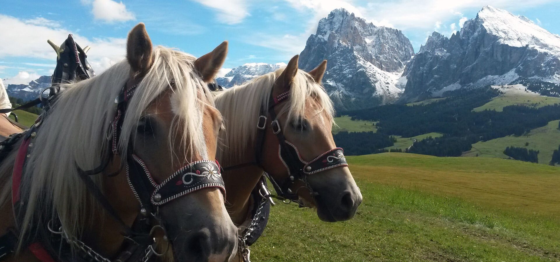 kutschenfahrten seiser alm