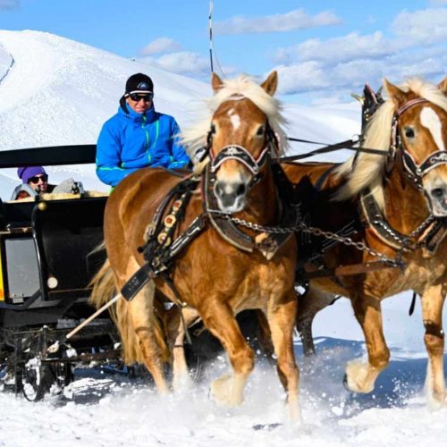 niglutsch hof kastelruth seiser alm suedtirol