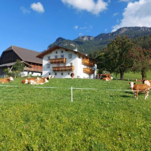 niglutsch hof kastelruth seiser alm suedtirol