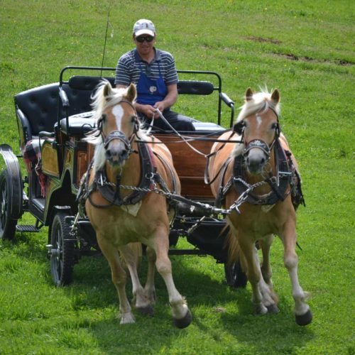 niglutsch hof kastelruth seiser alm suedtirol