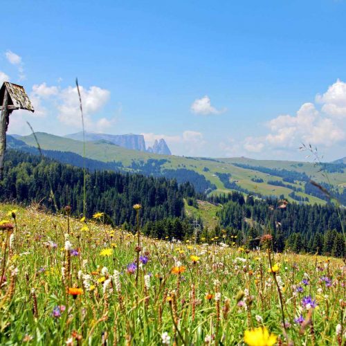 niglutsch hof kastelruth seiser alm suedtirol