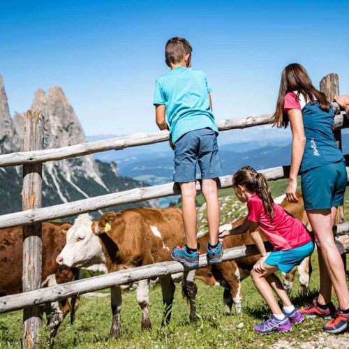 niglutsch hof kastelruth seiser alm suedtirol
