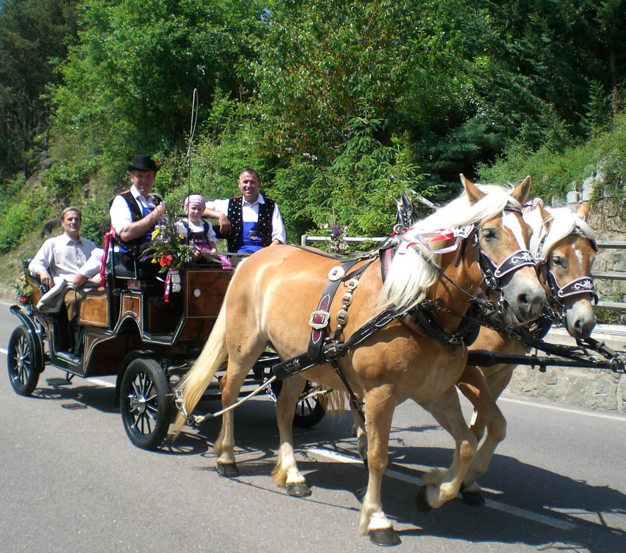 pferdehof kastelruth suedtirol
