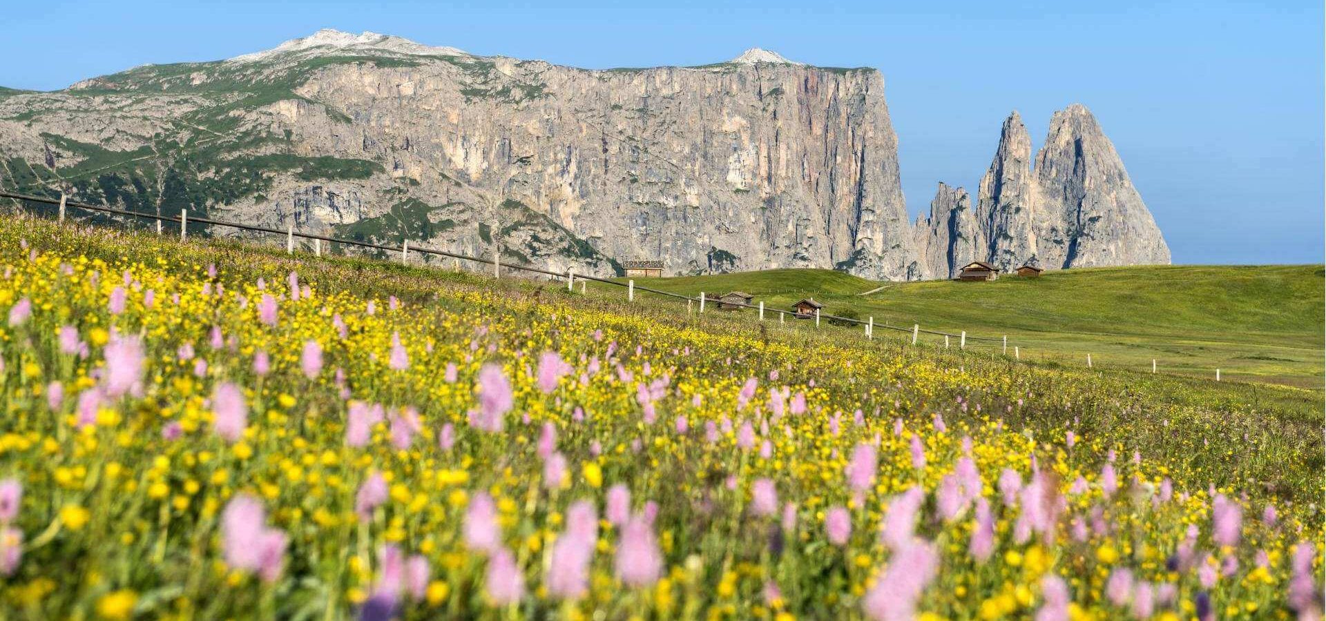 sommerurlaub seiser alm kastelruth