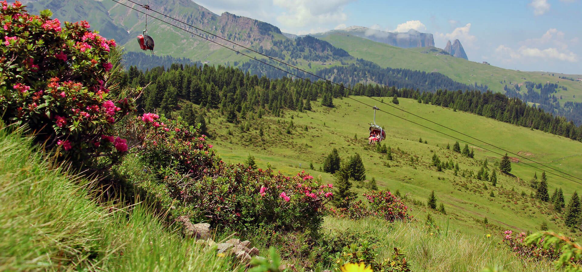 urlaub auf dem bauernhof kastelruth suedtirol niglutsch